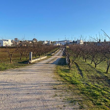 فيلا Trullo Della Selva ألبيروبيللو المظهر الخارجي الصورة